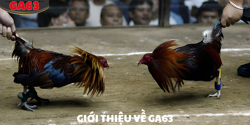 Liên hệ ga63